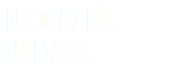 INFOGRAFÍA
ANIMADA