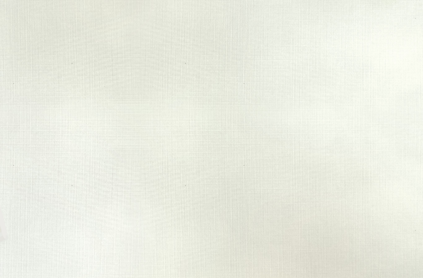 fondo